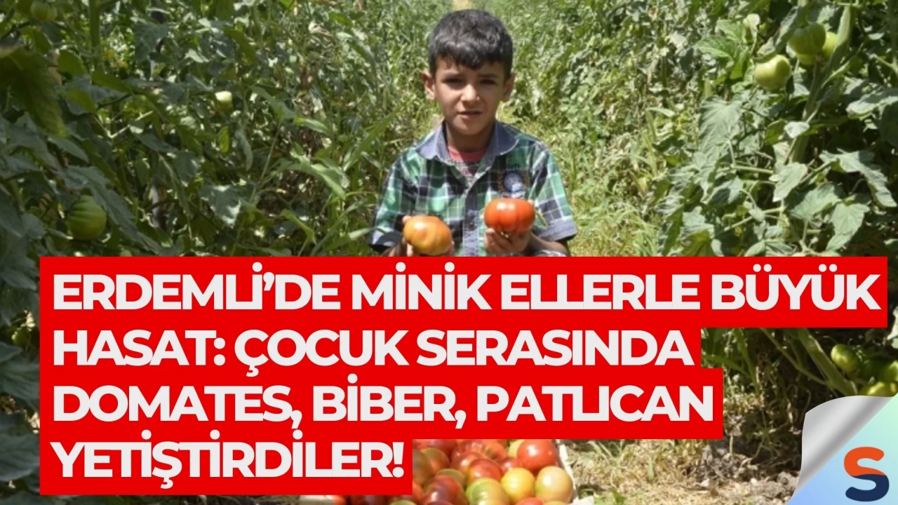 Erdemli’de Minik Ellerle Büyük Hasat: Çocuk Serasında Domates, Biber, Patlıcan Yetiştirdiler!