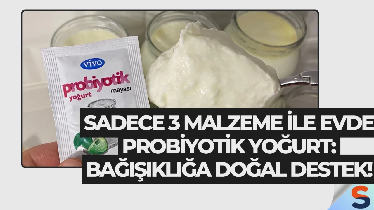 Sadece 3 Malzeme ile Evde Probiyotik Yoğurt: Bağışıklığa Doğal Destek!