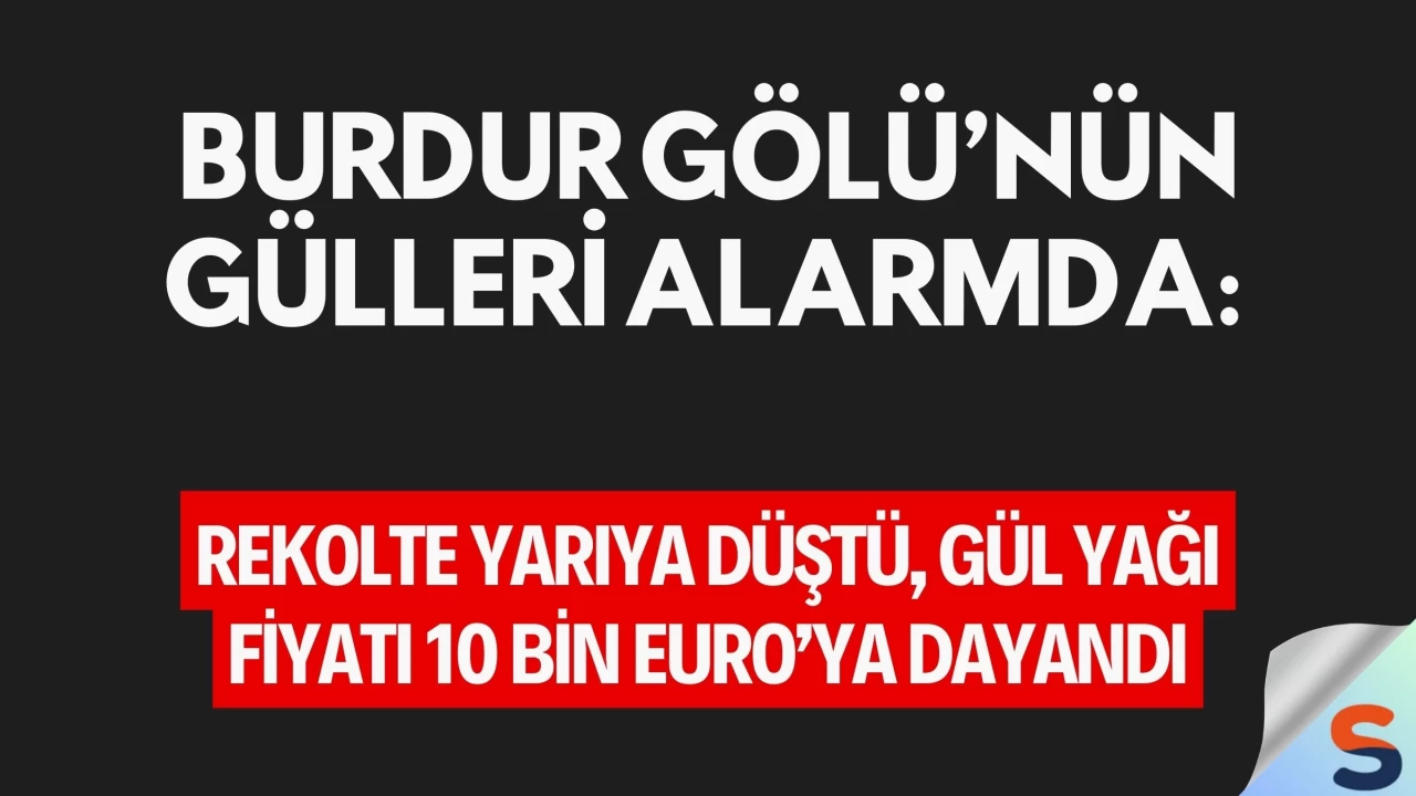 Burdur Gölü’nün Gülleri Alarmda: Rekolte Yarıya Düştü, Gül Yağı Fiyatı 10 Bin Euro’ya Dayandı