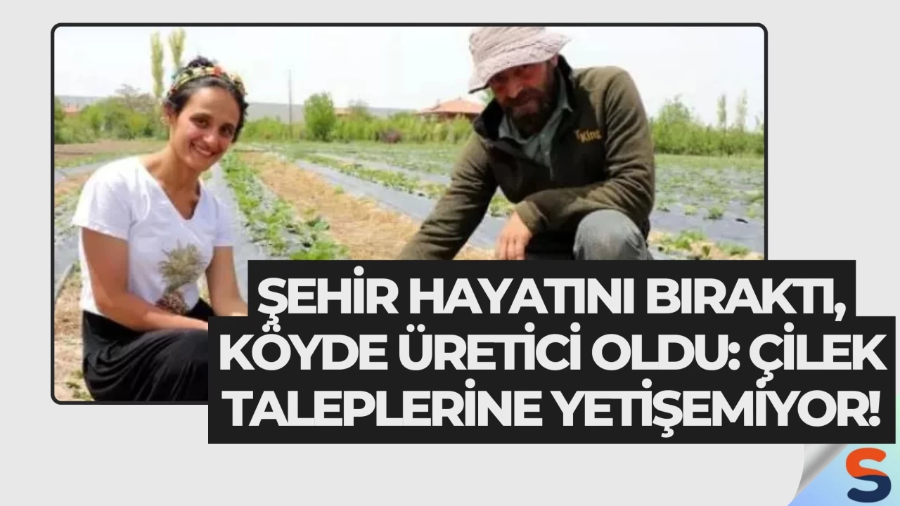 Şehir Hayatını Bıraktı, Köyde Üretici Oldu: Çilek Taleplerine Yetişemiyor!