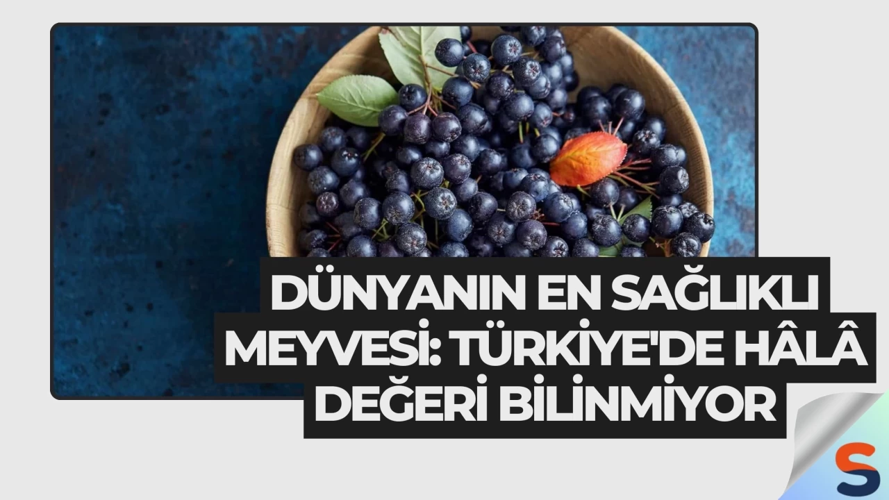 Dünyanın En Sağlıklı Meyvesi: Türkiye'de Hâlâ Değeri Bilinmiyor