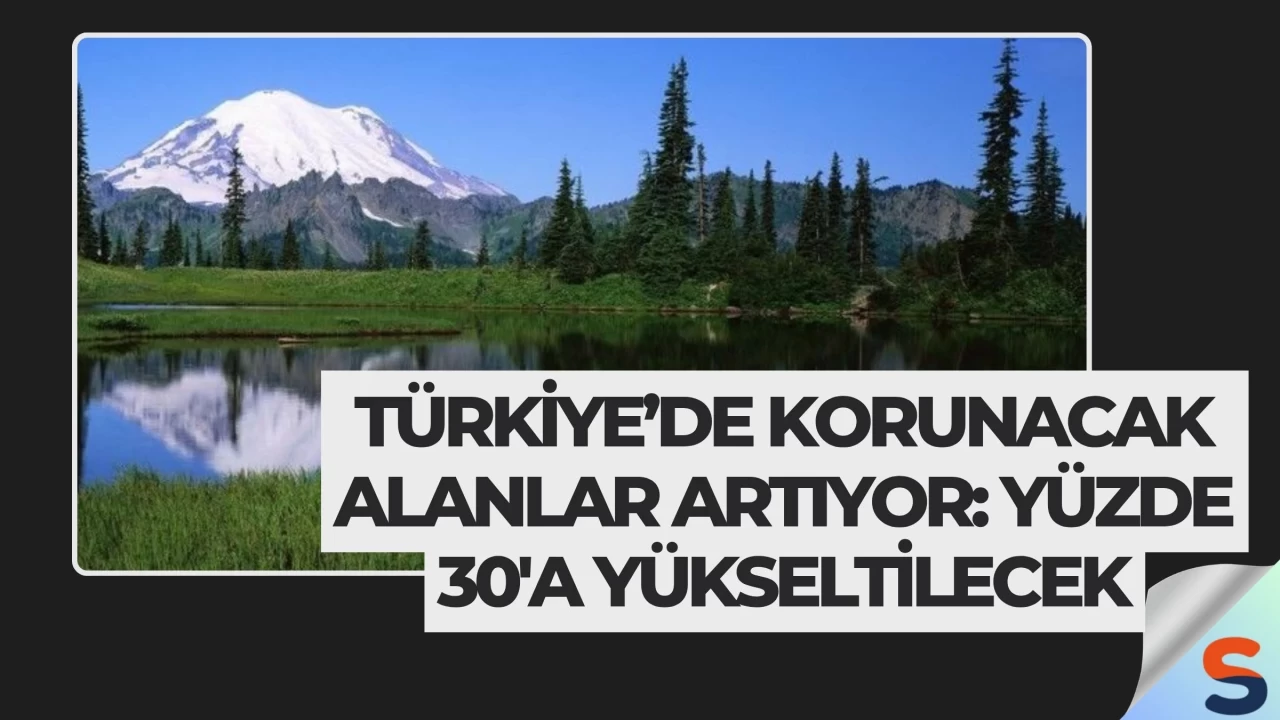 Türkiye’de Korunacak Alanlar Artıyor: Yüzde 30'a Yükseltilecek