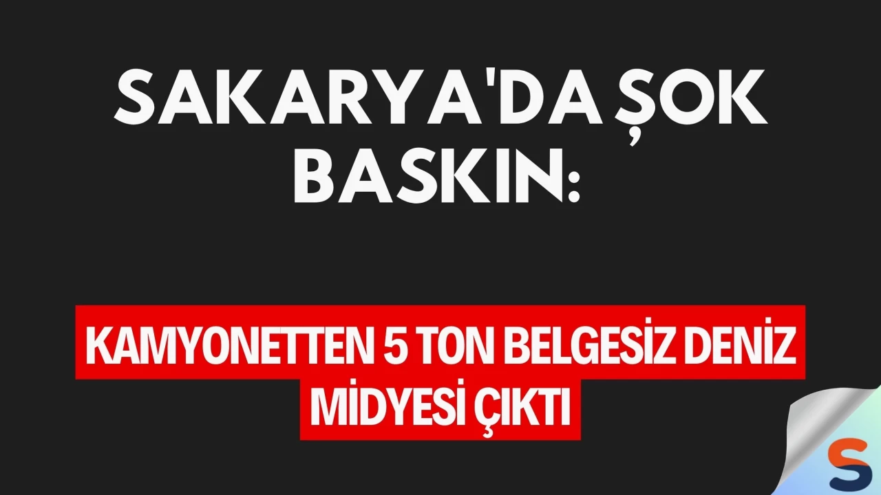 Sakarya'da Şok Baskın: Kamyonetten 5 Ton Belgesiz Deniz Midyesi Çıktı