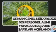 Orman Genel Müdürlüğü 105 Personel Alımı Yapacak! Başvuru Şartları Açıklandı