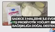 Sadece 3 Malzeme ile Evde Probiyotik Yoğurt: Bağışıklığa Doğal Destek!