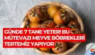 Günde 7 Tane Yeter! Bu Mütevazı Meyve Böbrekleri Tertemiz Yapıyor