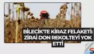 Bilecik'te Kiraz Felaketi: Zirai Don Rekolteyi Yok Etti