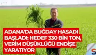 Adana'da Buğday Hasadı Başladı: Hedef 330 Bin Ton, Verim Düşüklüğü Endişe Yaratıyor