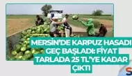Mersin’de Karpuz Hasadı Geç Başladı: Fiyat Tarlada 25 TL’ye Kadar Çıktı