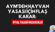 AYM’den Hayvan Yasası İçin Flaş Karar: İptal Talebi Reddedildi