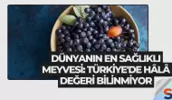 Dünyanın En Sağlıklı Meyvesi: Türkiye'de Hâlâ Değeri Bilinmiyor