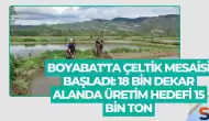 Boyabat'ta Çeltik Mesaisi Başladı: 18 Bin Dekar Alanda Üretim Hedefi 15 Bin Ton