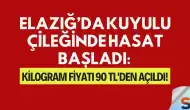 Elazığ’da Kuyulu Çileğinde Hasat Başladı: Kilogram Fiyatı 90 TL'den Açıldı!