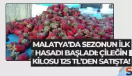 Malatya’da Sezonun İlk Hasadı Başladı: Çileğin Kilosu 125 TL’den Satışta!
