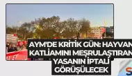 AYM'de Kritik Gün: Hayvan Katliamını Meşrulaştıran Yasanın İptali Görüşülecek