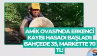 Amik Ovası’nda Erkenci Kayısı Hasadı Başladı: Bahçede 35, Markette 70 TL!