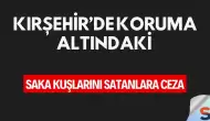 Kırşehir’de Koruma Altındaki Saka Kuşlarını Satanlara Ceza