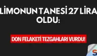 Limonun Tanesi 27 Lira Oldu: Don Felaketi Tezgahları Vurdu!