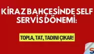 Kiraz Bahçesinde Self Servis Dönemi: Topla, Tat, Tadını Çıkar!