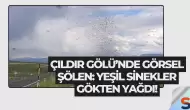 Çıldır Gölü’nde Görsel Şölen: Yeşil Sinekler Gökten Yağdı!