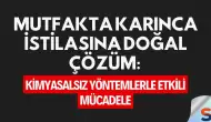 Mutfakta Karınca İstilasına Doğal Çözüm: Kimyasalsız Yöntemlerle Etkili Mücadele