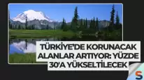 Türkiye’de Korunacak Alanlar Artıyor: Yüzde 30'a Yükseltilecek
