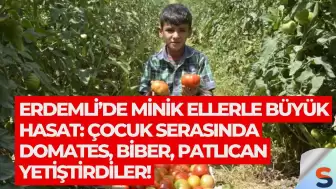 Erdemli’de Minik Ellerle Büyük Hasat: Çocuk Serasında Domates, Biber, Patlıcan Yetiştirdiler!
