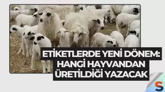 Etiketlerde Yeni Dönem: Hangi Hayvandan Üretildiği Yazacak