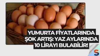 Yumurta Fiyatlarında Şok Artış: Yaz Aylarında 10 Lirayı Bulabilir!