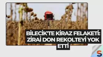 Bilecik'te Kiraz Felaketi: Zirai Don Rekolteyi Yok Etti