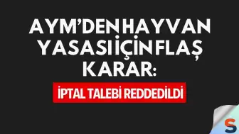AYM’den Hayvan Yasası İçin Flaş Karar: İptal Talebi Reddedildi
