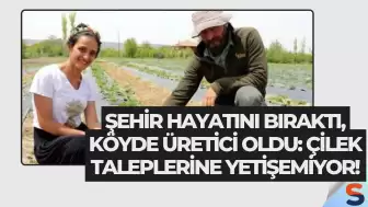 Şehir Hayatını Bıraktı, Köyde Üretici Oldu: Çilek Taleplerine Yetişemiyor!