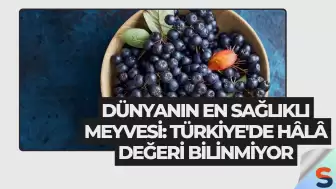 Dünyanın En Sağlıklı Meyvesi: Türkiye'de Hâlâ Değeri Bilinmiyor