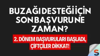 Buzağı desteği için son başvuru ne zaman? 2. dönem başvuruları başladı, çiftçiler dikkat!