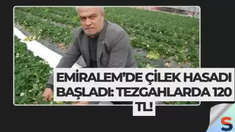 Emiralem’de Çilek Hasadı Başladı: Tezgahlarda 120 TL!