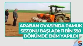 Araban Ovası’nda Pamuk Sezonu Başladı: 11 Bin 350 Dönümde Ekim Yapıldı