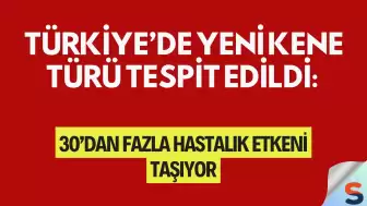 Türkiye’de Yeni Kene Türü Tespit Edildi: 30’dan Fazla Hastalık Etkeni Taşıyor