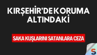 Kırşehir’de Koruma Altındaki Saka Kuşlarını Satanlara Ceza