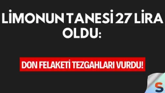 Limonun Tanesi 27 Lira Oldu: Don Felaketi Tezgahları Vurdu!