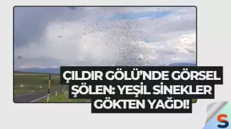Çıldır Gölü’nde Görsel Şölen: Yeşil Sinekler Gökten Yağdı!