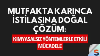 Mutfakta Karınca İstilasına Doğal Çözüm: Kimyasalsız Yöntemlerle Etkili Mücadele