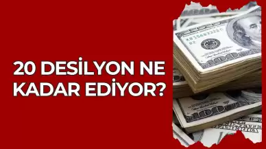 20 Desilyon Dolar Nasıl Yazılır?