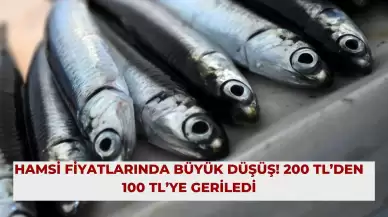 Hamsi Fiyatlarında Büyük Düşüş! 200 TL’den 100 TL’ye Geriledi