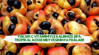 Yüksek C Vitaminiyle Kalbinize Şifa: Tropikal Ackee Meyvesinin Faydaları!