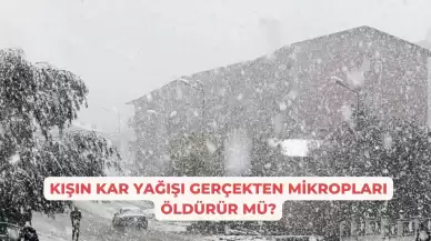 Kışın Kar Yağışı Gerçekten Mikropları Öldürür Mü?