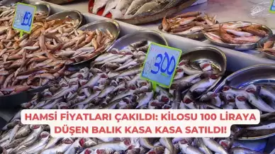 Hamsi Fiyatları Çakıldı: Kilosu 100 Liraya Düşen Balık Kasa Kasa Satıldı!