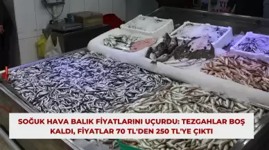Soğuk Hava Balık Fiyatlarını Uçurdu: Tezgahlar Boş Kaldı, Fiyatlar 70 TL'den 250 TL'ye Çıktı