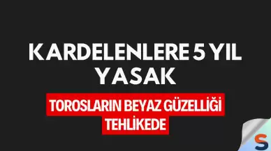 Kardelenlere 5 Yıl Yasak: Torosların Beyaz Güzelliği Tehlikede