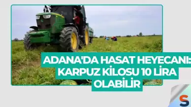Adana'da Hasat Heyecanı: Karpuz Kilosu 10 Lira Olabilir