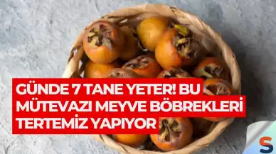 Günde 7 Tane Yeter! Bu Mütevazı Meyve Böbrekleri Tertemiz Yapıyor